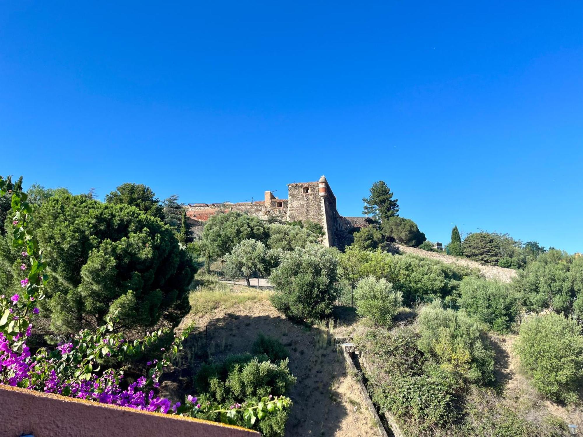 Appartement Collioure, Grande Terrasse Et Parking Ngoại thất bức ảnh